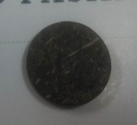 COCONUT BUTTON,Other Buttons