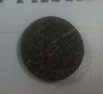 COCONUT BUTTON